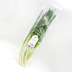 의령농산 건강채소 국내산 간편손질야채 깐 대파 400g, 1개