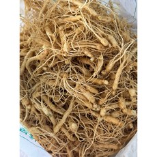 26년 인삼 방울삼(달랭이) 1년근 100g 소량 판매 산 재배용, 1개