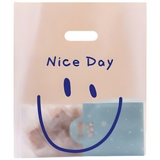 더쏠 손잡이구디백 다용도 선물 포장가방, 50p, 나이스데이