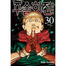 주술회전 30