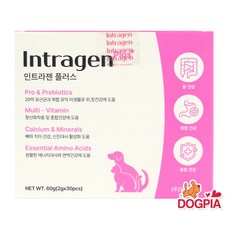 냥냥이 인트라젠 고양이.강아지겸용 플러스(plus+) 스틱 [2gx30p], 1개