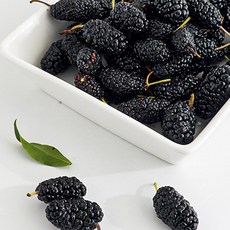 과실이 크며 탱글탱글한 과상2호 오디 1kg 급냉, 1개, 과상2호 오디 1kg 특품(급냉)