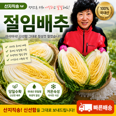 강원도 고랭지 절임배추 절인배추 휘파람 불암3호 청명가을 김장배추 여름배추 봄배추, 7월 3일 금 출고, 1박스, 10kg