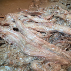 국내산 목포산 갈치육젓 갈치통마리 젓갈 풀치 진젓, 1000개, 1kg