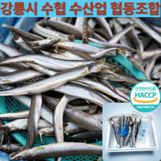 [ 강릉 양미리 ] 동해안 자연산 양미리 국내산 반건조 20미 40미, 1개, 양미리 20미