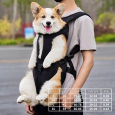 강아지 이동백팩 산책가방 운반 산책 반려동물 노견 애견, B. 블랙, 1개