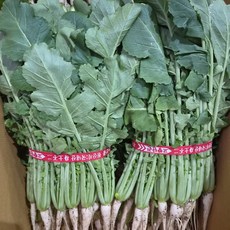 <해돋이농산> 국내산 열무, 1개, 1단