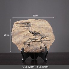 공룡 화석 모형 장난감 뼈 티라노사우루스 장식 공룡화석 화석모형 소품, C. 기본