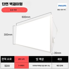 눈부심 방지 스포츠 경기장 무플리커 조명 배드민턴 농구 배구 겸용 조명, 1개, 1_300x600-50w단면LED벽걸이
