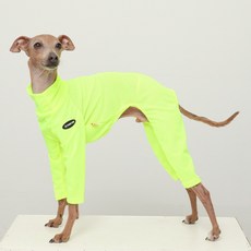 도기스타 이탈리안그레이하운드옷 아이쥐옷 여름 쿨링 올인원, 1개, 형광노랑