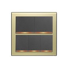 JYE中一 月光豪華金 蓋板組, 1個, 五開關