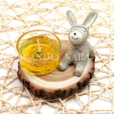 원형 글라스 티라이트