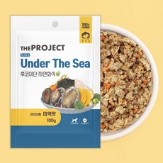펫러닝 강아지 언더더씨 자연화식 수제 습사료, 미역맛, 100g, 1개