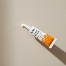 제인리빙 벽면 보수제 크랙보수제, 1개
