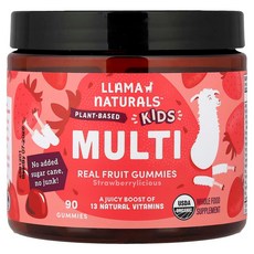Llama Naturals 어린이용 식물성 종합 구미젤리 천연 과일 구미젤리 스트로베리셔스 구미젤리 60개 LNS-31861, 1, 90