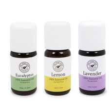 제시디자인 에센셜오일 10ml 유칼립투스오일, 유칼립투스