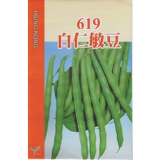 J15 619 白仁敏豆種子 中包裝 高腳四季豆 品質優良, 1包