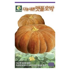 맷돌호박씨앗 30립 늙은호박 종자 씨, 1개