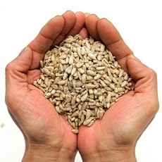 푸레아 무가공 해바라기씨 500g, 1개