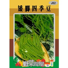【野菜部屋】J02 矮腳四季豆種子 1磅, 1包