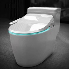 앤트 비데 최신형 IPX8 방수 직수 안심세척 하이브리드 필터필요없는 IPX-750A, 자가설치, 고객직접설치