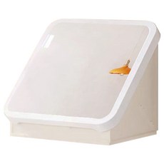 壁畫式折疊收納箱/櫃, 鏡面款, 1個