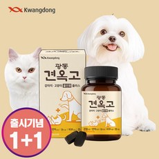 광동 견옥고 강아지 영양제 관절 슬개골 눈 피부 장건강 눈물자국 올인원 플러스, 2개, 종합영양제, 70정