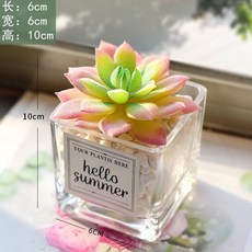 台灣熱賣ins風仿真多肉盆栽，仙人掌綠植客廳擺件，小盆栽裝飾品綠植假花桌面擺設，輕鬆打造清新居家風格, 圓心玫+ins小方玻, 1個