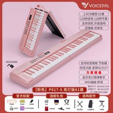 전자 오르간 피아노 풍금 수업용 성당 배낭 가방 건반, 1개, F. 핑크 P617-S 블루투스 백라이트