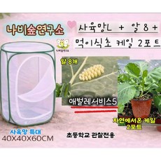 (나비망대+케일2+나비알8+애벌레5)배추흰나비키우기세트 나비키우기 수정란 애벌레 번데기 먹이식물 사육통 풀세트 배추흰나비알 나비망 케일 초등과학관찰 나비알부화키트 나비숲연구소, 1세트, 케일2+알8+나비망대