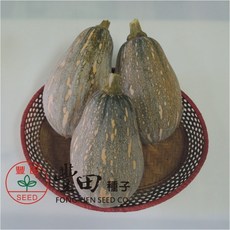 【野菜部屋】K75 一口香QQ南瓜種子 20公克 果實木瓜型 肉質香甜 口感QQ, 1包