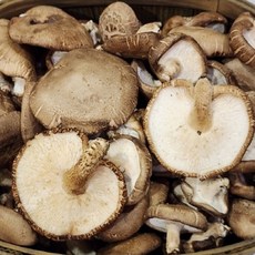 표고버섯 못난이 2kg, 1박스