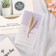 有感選物 台灣現貨 乾燥花賀卡 滿天星卡片 送禮卡片 母親節卡片 生日卡片, 大麥, 1個