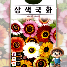 KS종묘 삼색국화 50립 레인보우 마가렛 일년생 식용꽃 허브 꽃씨 씨앗 종자, 1개
