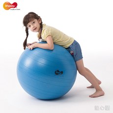 Weplay 防爆球 65cm 平衡訓練球 前庭發展輔助器材