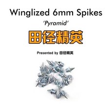 Winglized 田徑釘鞋鞋釘, 1個, 耐磨鋼尖釘,14顆釘子+  比賽訓練一體專用, 耐磨鋼尖釘
