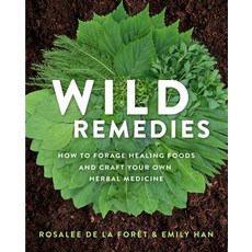 (영문도서) Wild Remedies: How to Forage Healing Foods and Craft Your Own Herbal Medicine Paperback, Hay House, English, 9781401956882