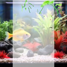 수족관 모형장식 어항 소품 플라 구피 열대어 인조