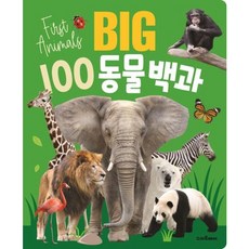 [예림당] BIG 100 동물백과 [양장] [따뜻한책방]