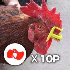 꿩안경 닭안경 가금류 조류 눈가리개, 10개