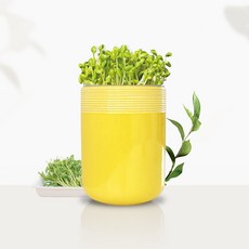 콩나물 재배 키트 어린이 관찰학습 집에서 체험 재배 기르기, 흰색, 1개