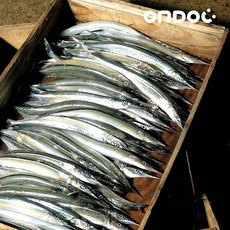 온도씨 바로 구워먹는 구이용 꽁치, 1개, 1kg