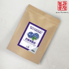 건블루베리 450g 건조 말린 블루베리 건과일, 1개