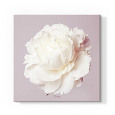 더 아트 컴퍼니 돈 들어오는 풍수 두꺼비집 가리개 30종 배전함 차단기 해바라기 사과 코끼리 자작나무 돈나무 커버 현관 그림 액자 인테리어, 14. 고귀 모란꽃