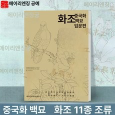 색칠북 따리기 꽃책 컬러링북 취미 수묵화 드로잉 어르신 색칠하기 그리기 교구 꽃과, 1개, 드로잉 입문 [꽃과 새]