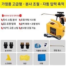 스팀해빙기 고온 동파 고압 제어 하드커버 음이온 소독 증기, 2600W 가정용 하드커버 초고속 스팀, 1개