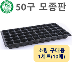 파주큰사위 튼튼한 50구 모종 트레이 파종 삽목 50공, 검정, 10개 검정, 10개