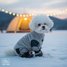 Diqpet 강아지 겨울 올인원 패딩 기모 등산복 신발일체형 방한복 눈밭 산책, 마일로 그레이, L(권장 무게 5.5-7kg )
