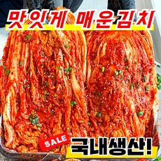 [재구매1등] 국산 매운김치 매운 선화동 실비김치, 1세트, 1kg