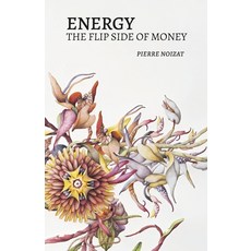 (영문도서)Energy the flip side of money Paperback, Konsensus Network, English, 9789916749647